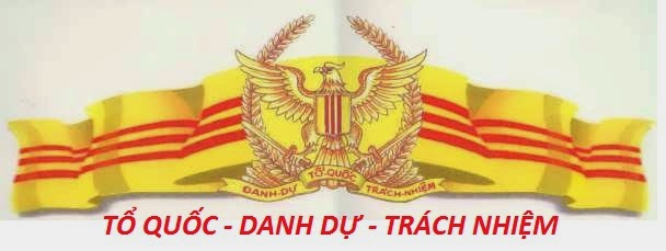Image result for quân lá»±c viá»t nam cá»ng hòa