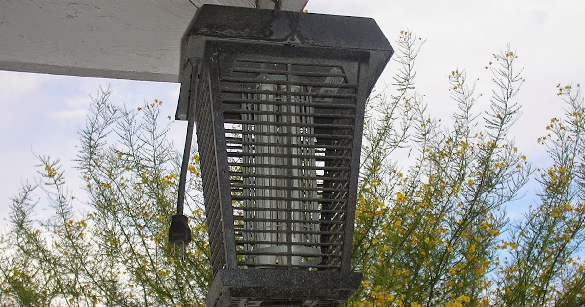 Gordon's STEM Blog LED Light Bulbs That Repel Bugs