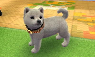 Noxyism Nintendogs Cats For 3ds Part 2 Of 3 Walkthrough And Tips