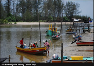 Malaysians Protest Against Australian Rare Earths Plant [video]