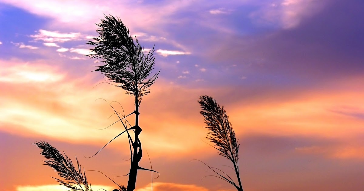 window 7 HD Wallpaper: Natural HD Wallpapers 2