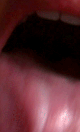 Licking Tongue Gif