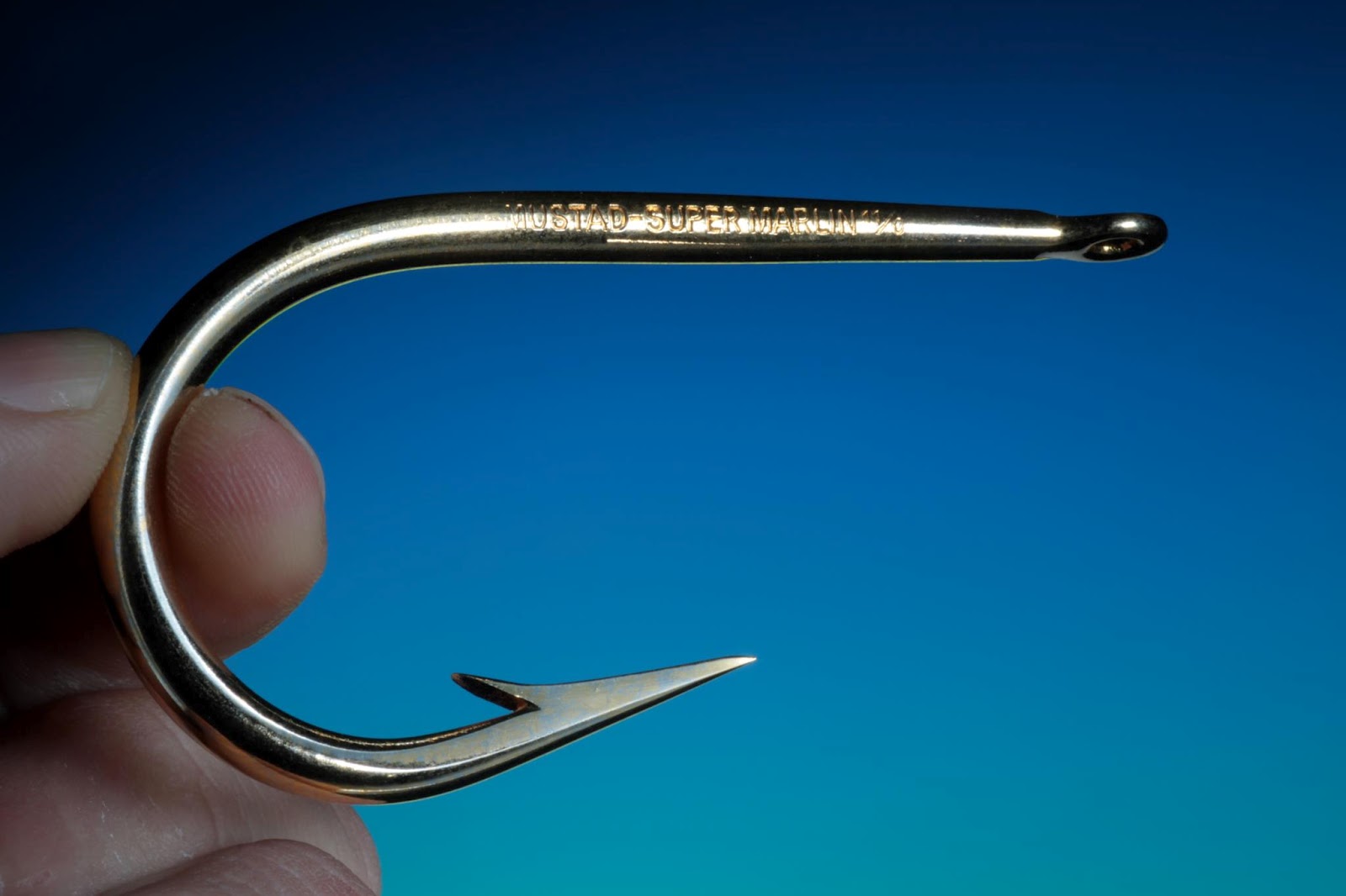 The Worlds Most Expensive Hook! Fishingmegastore Blog