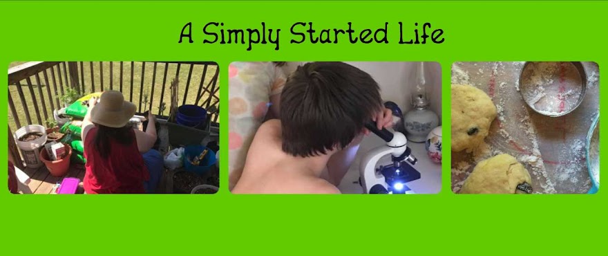 A Simply Started Life