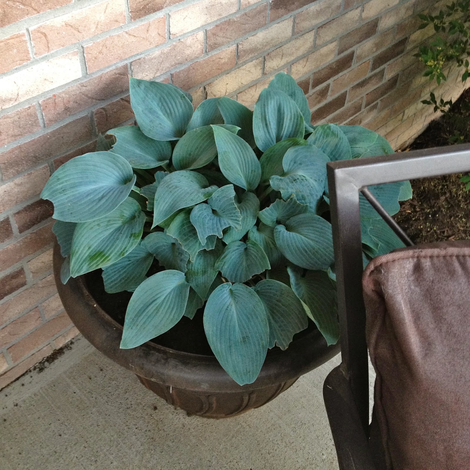 DIY Why Spend More Spray painting outdoor cushions