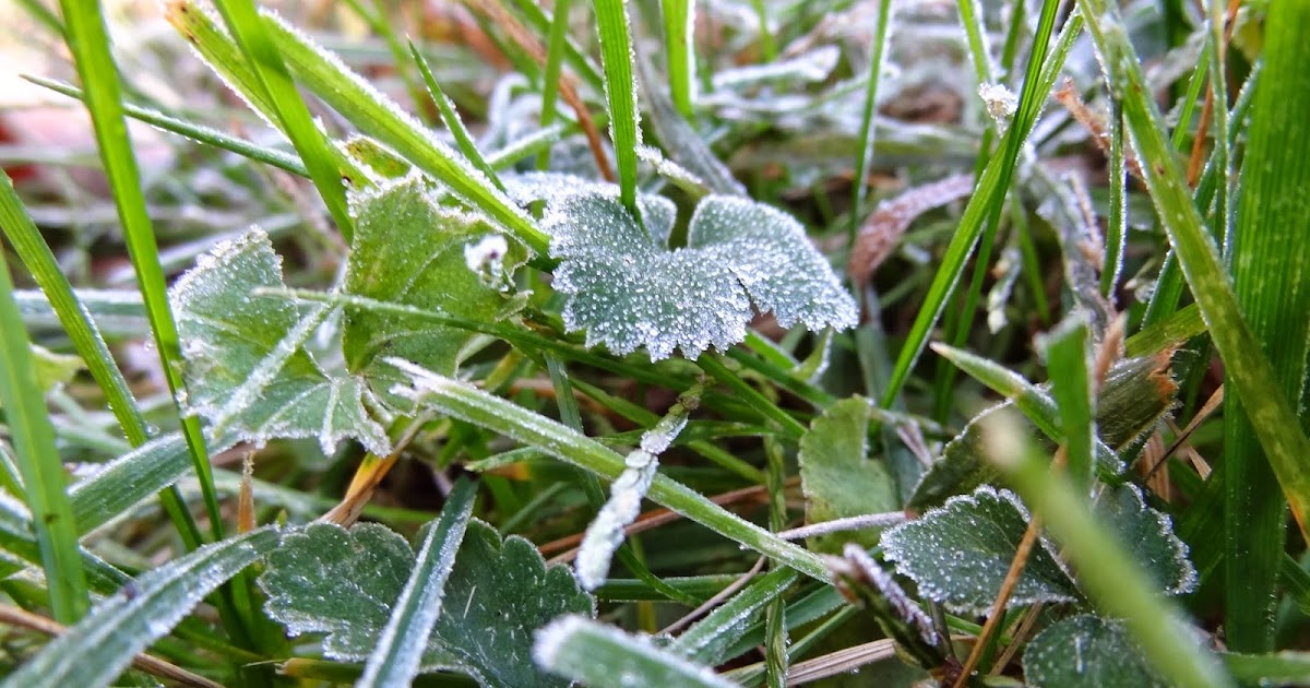 Live and LearnToss and Turn Freeze warningswho knew?