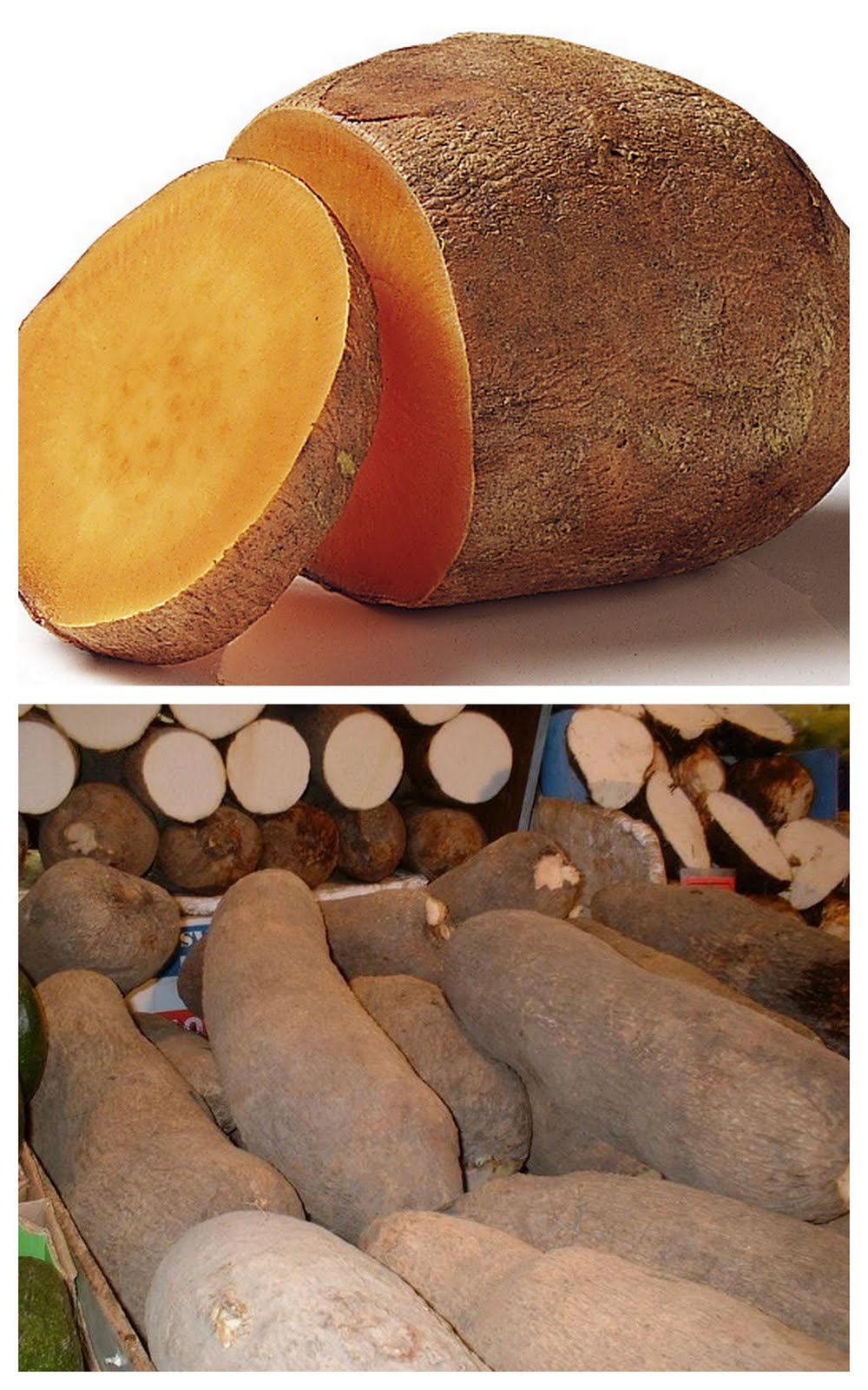 The Vegetable Collaboration FYI Sweet Potatoes and Yams