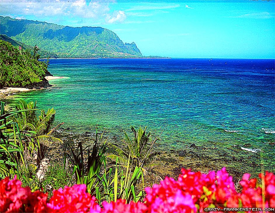 Hawaii wallpapers Crazy Frankenstein Hawaii wallpapers Crazy Frankenstein
