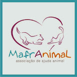 Animais para adoção