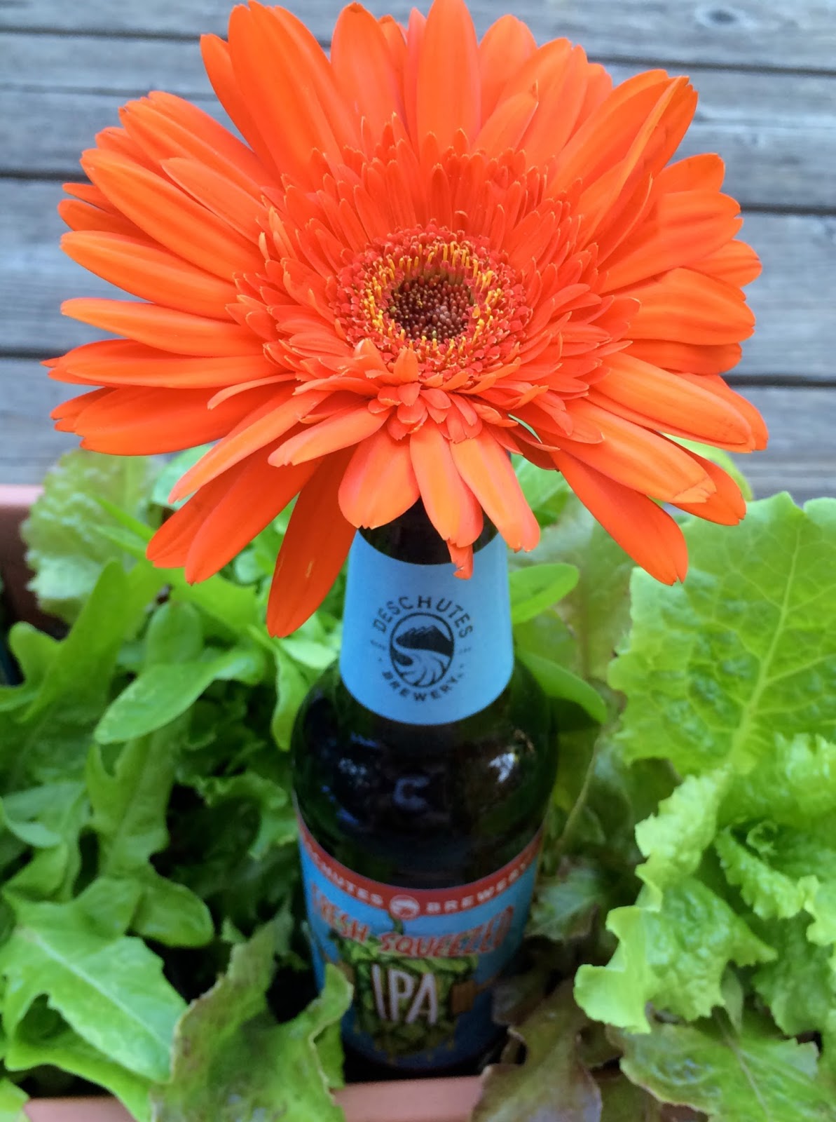 Jac o' lyn Murphy Father's Day Centerpiece in the Beer Garden