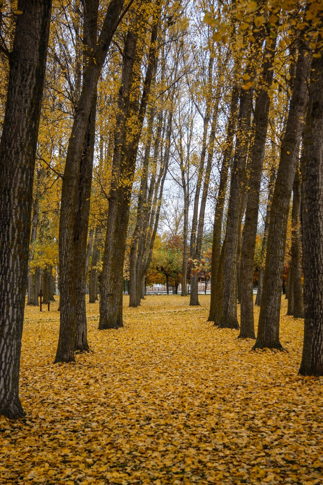 Blog de viajes patritravel Las Merindades