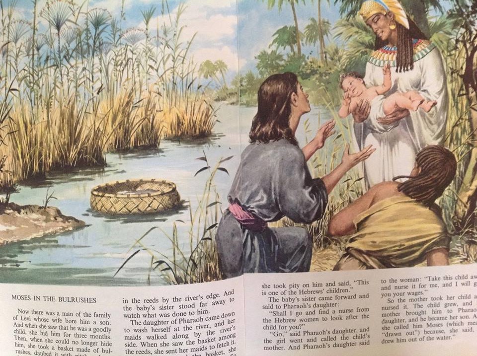 Magical Vintage Children's Books The Golden Children's Bible