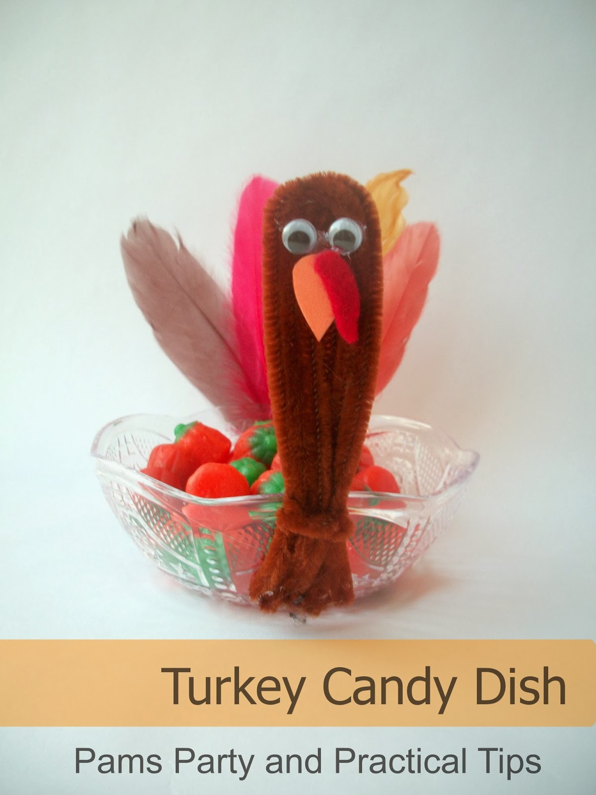 Pams Party & Practical Tips Thanksgiving Turkey Candy Dish
