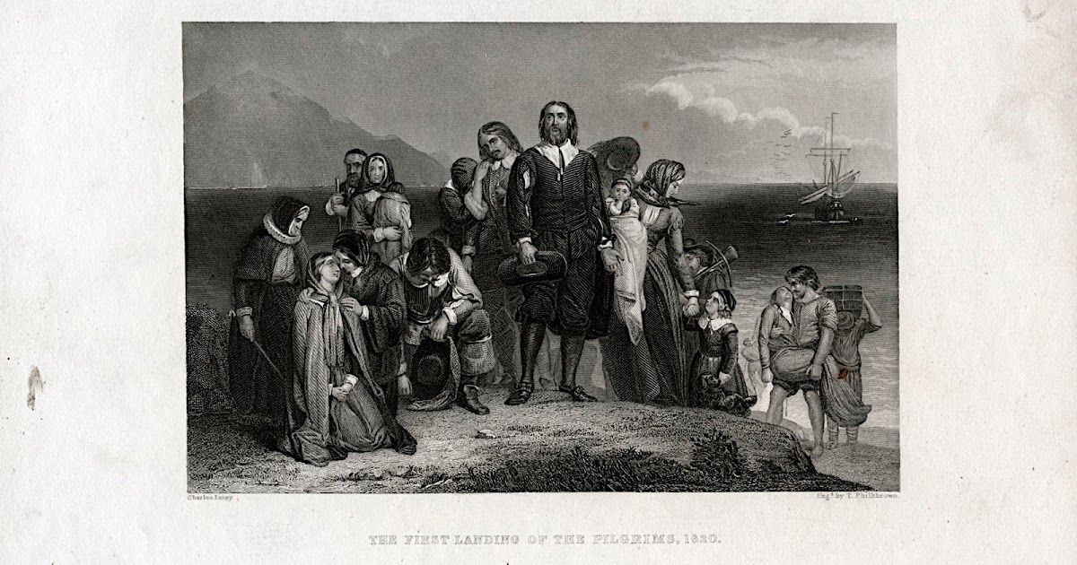 where did the pilgrims settled where did the pilgrims settled