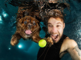 Foto del fotografo con un perro bajo el agua