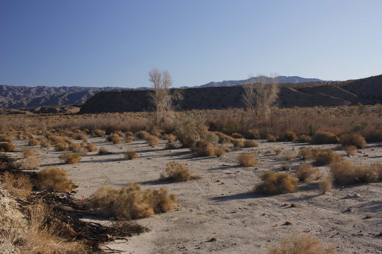 Deserts and Beyond Thousand Palms Canyon