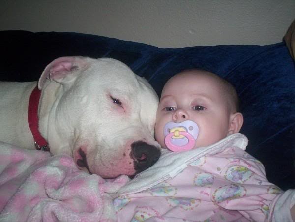 the Houston Hound Rescue