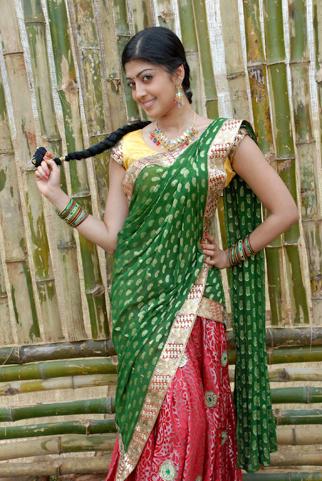 pranitha saree , pranitha new in saree actress pics
