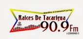 RAICES DE TACARIGUA