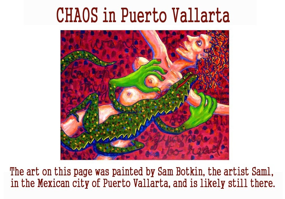 Chaos in Puerto Vallarta