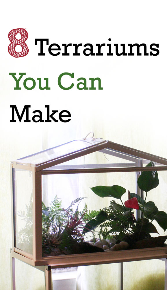 The Rainforest Garden 8 Terrarium DIY Projects