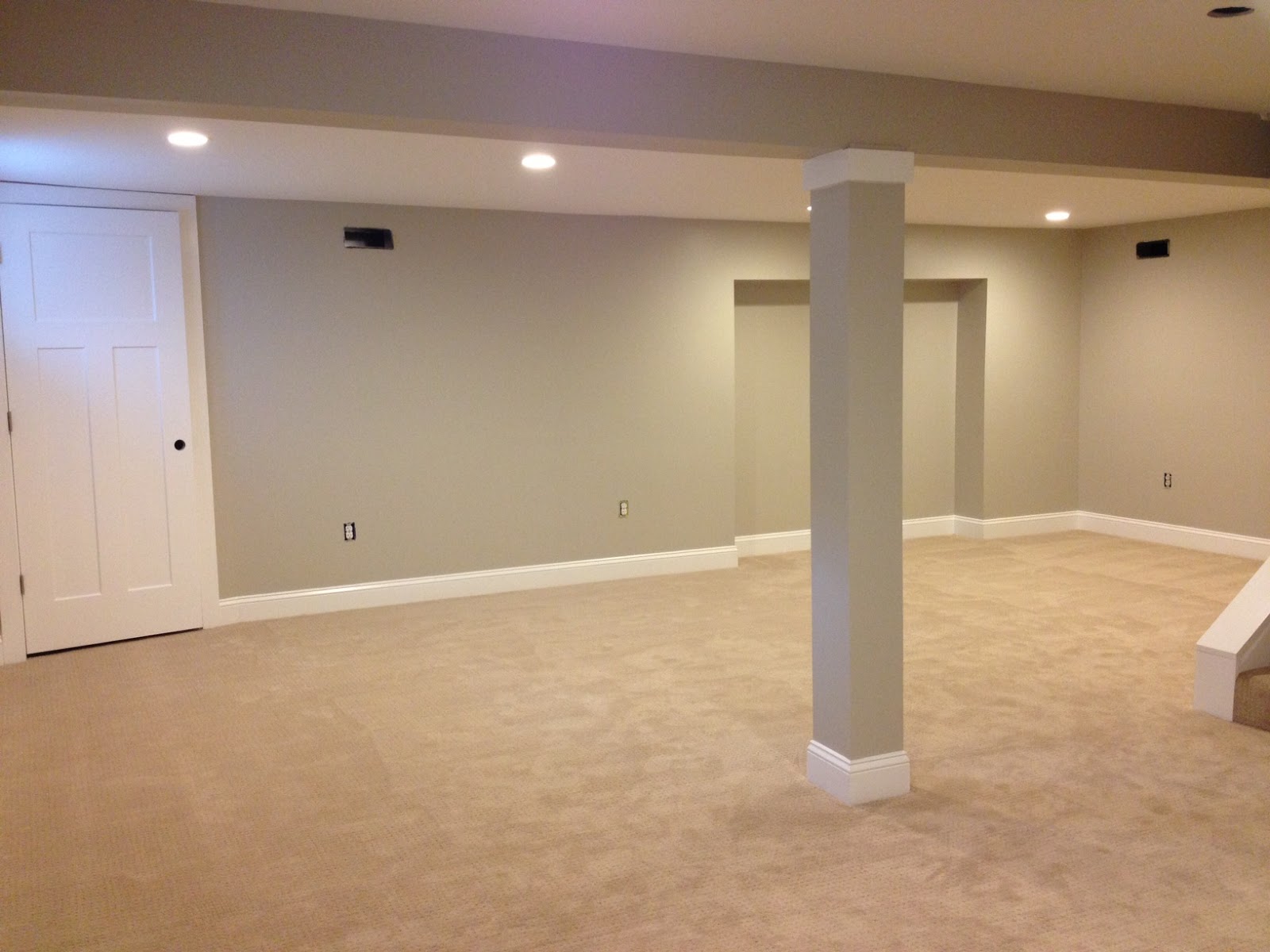 image How To Kill Fleas In Basement
