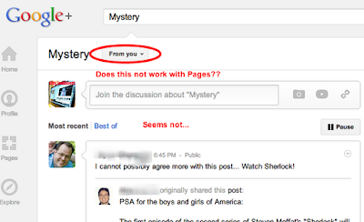 Google plus Search
