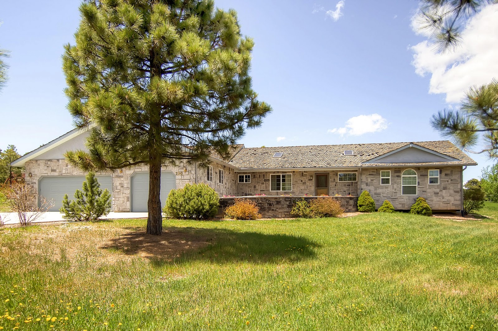 Great Ranch Style Home for Sale in Colorado Springs
