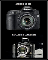 My Camera's