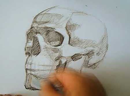 Speed Drawing human skull