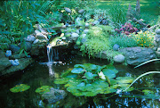 From very small ponds to large, elaborate installations, water gardens are . (water garden )