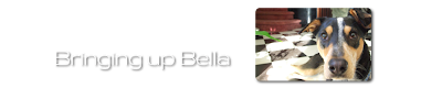 Bringing up Bella