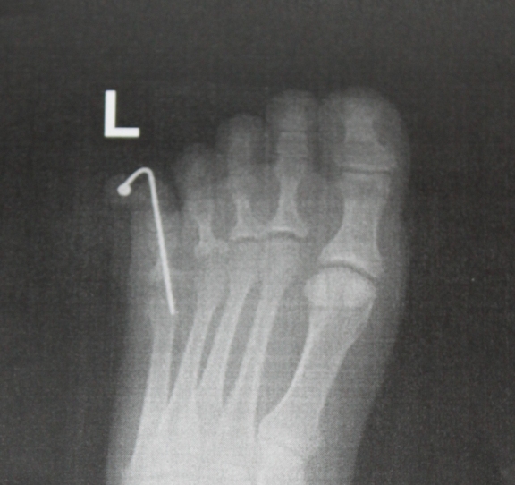 Sew Serendipity What a Summer!