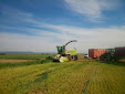 Forage harvester. Claas Jaguar