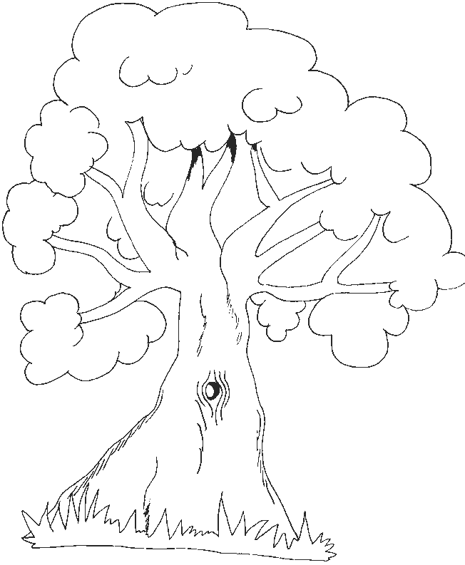 Cute Jungle Tree Coloring Pages