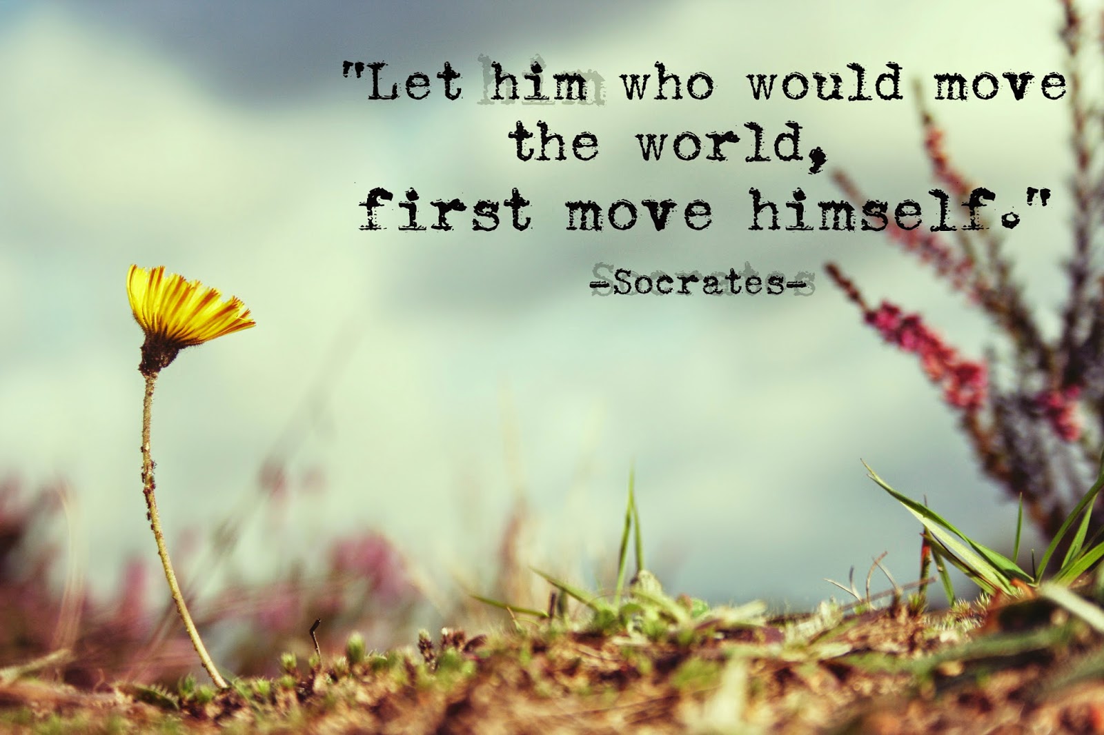 Socrates Thoughts on Life ~ Calgary, Edmonton, Toronto, Red Deer