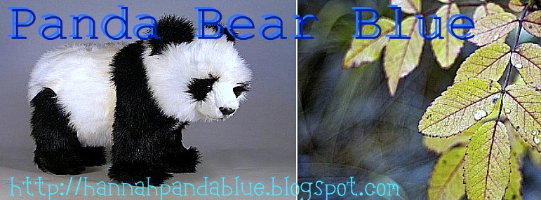 Panda Bear Blue
