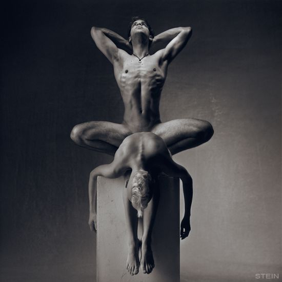 Vadim Stein fotografia nudez tecidos corpos músculos sexo sensual provocante