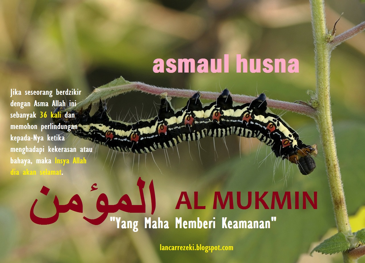 Menarik Rezeki dengan Asmaul Husna (1)