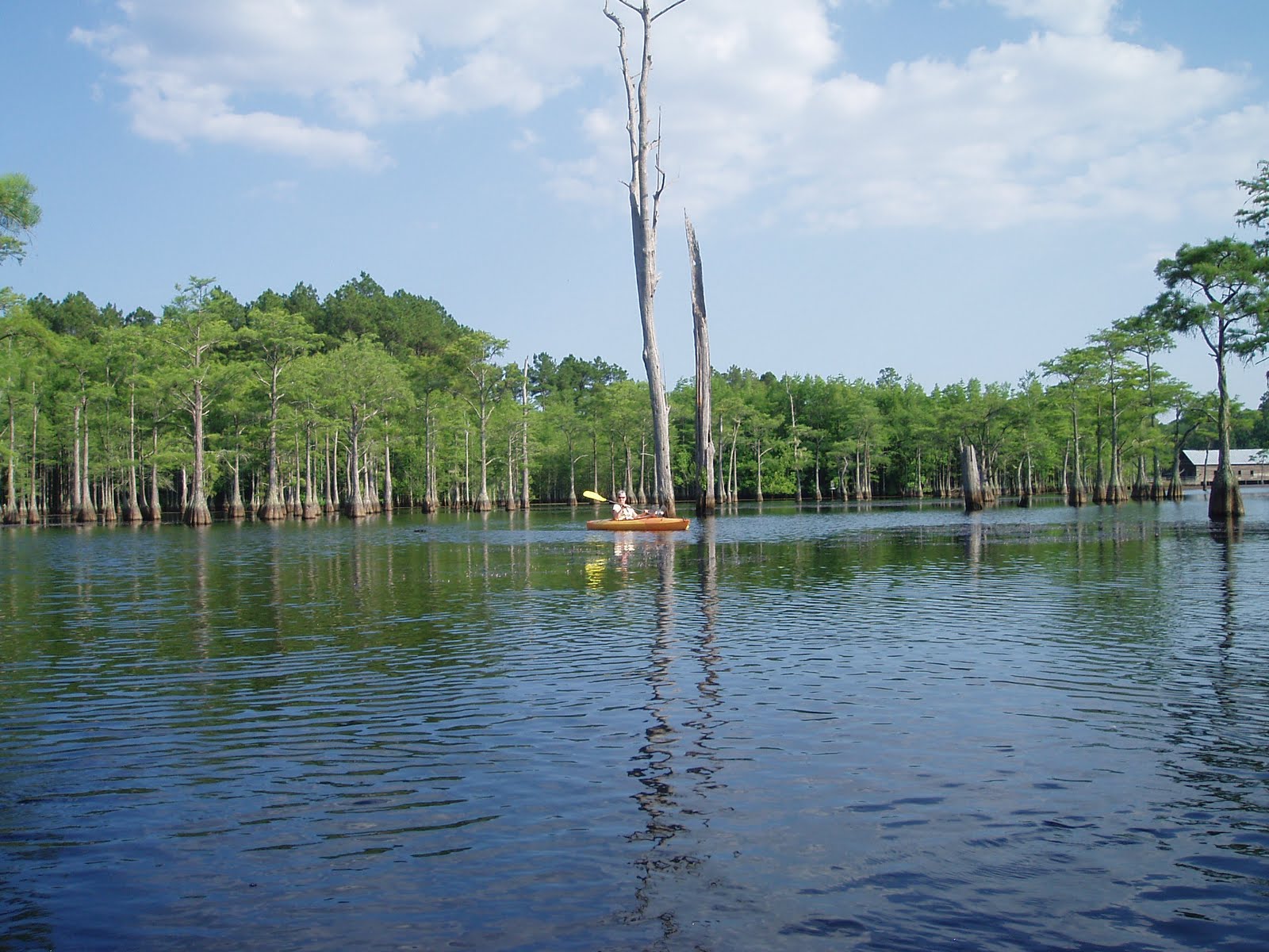 CramALot Inn Camping Adventures L. Smith State Parks