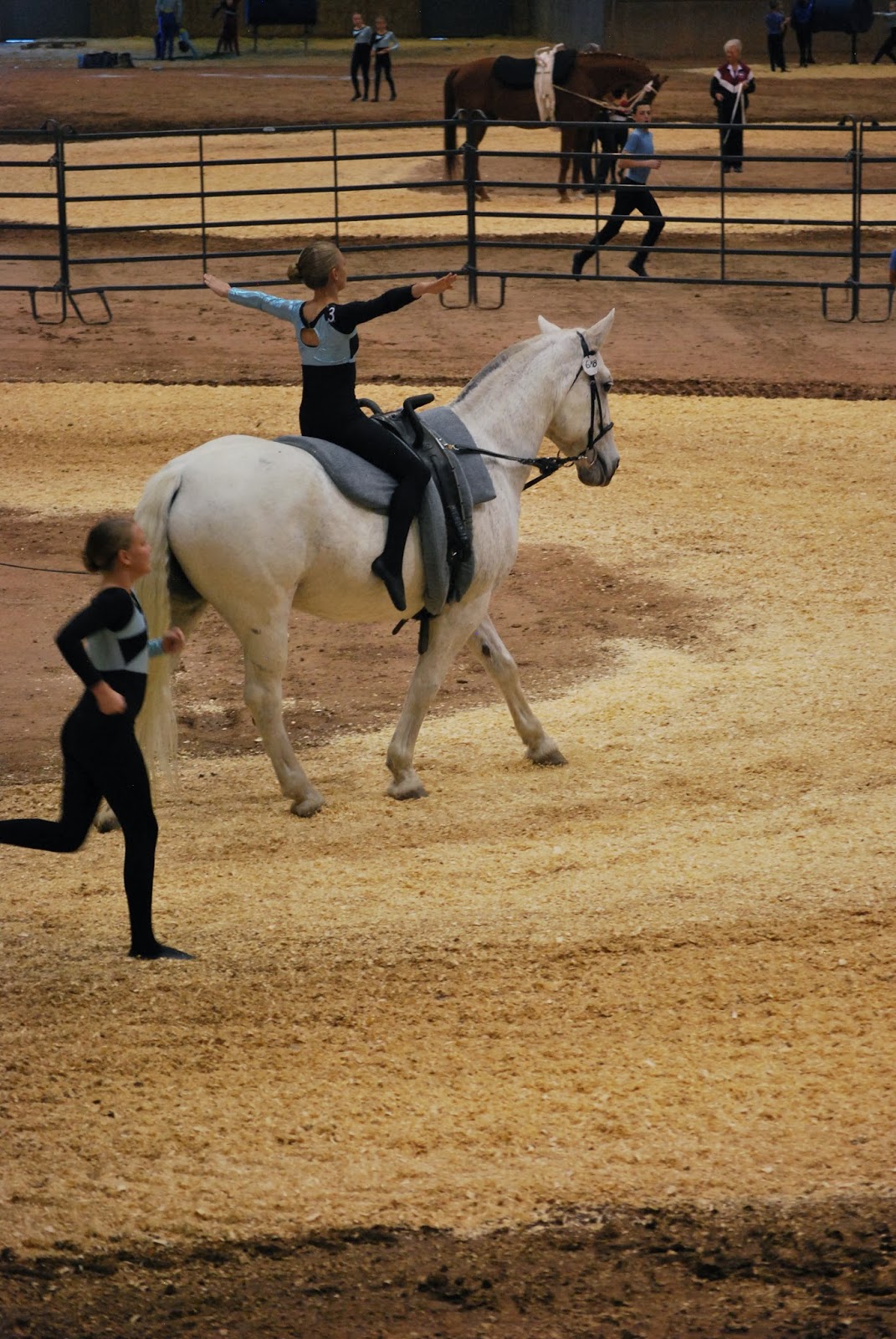 Saltzworks Region 1 Equestrian Vaulting Championships