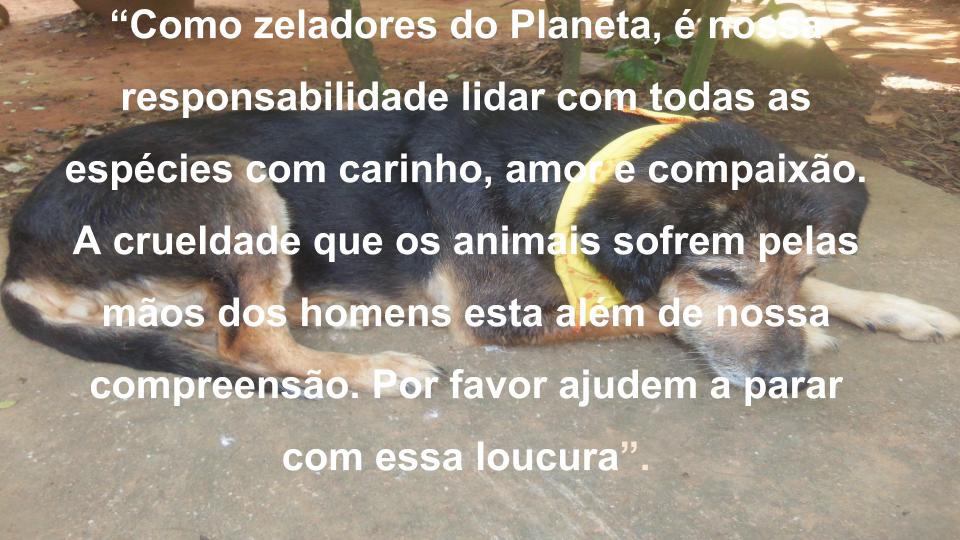 ZELADORES DO PLANETA