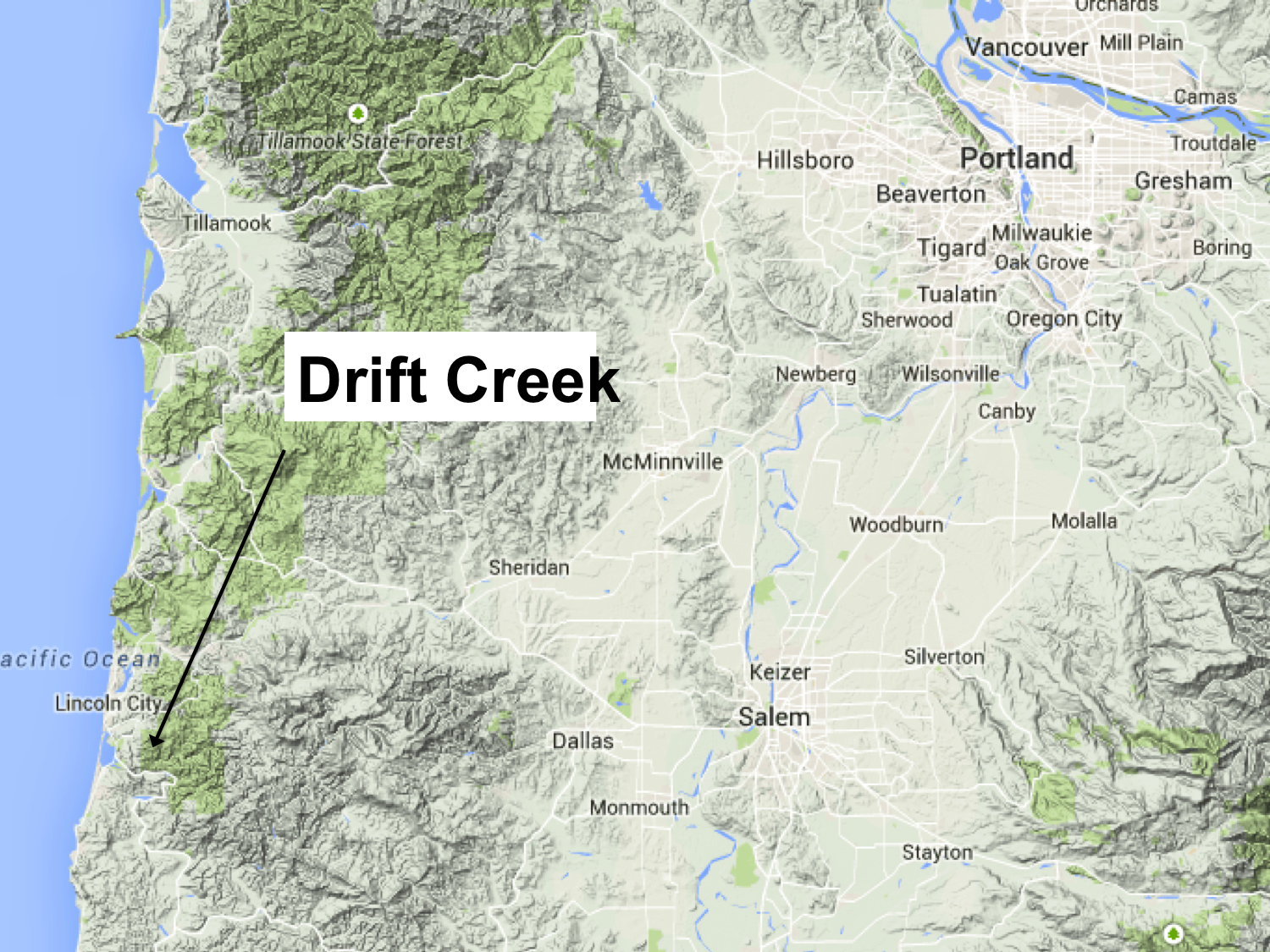 Into the Outside Drift Creek (Siletz Drainage)