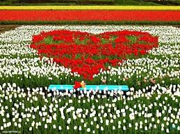 Da Lat: Dalat Flower Gardens