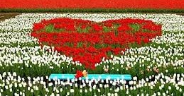 Da Lat: Dalat Flower Gardens