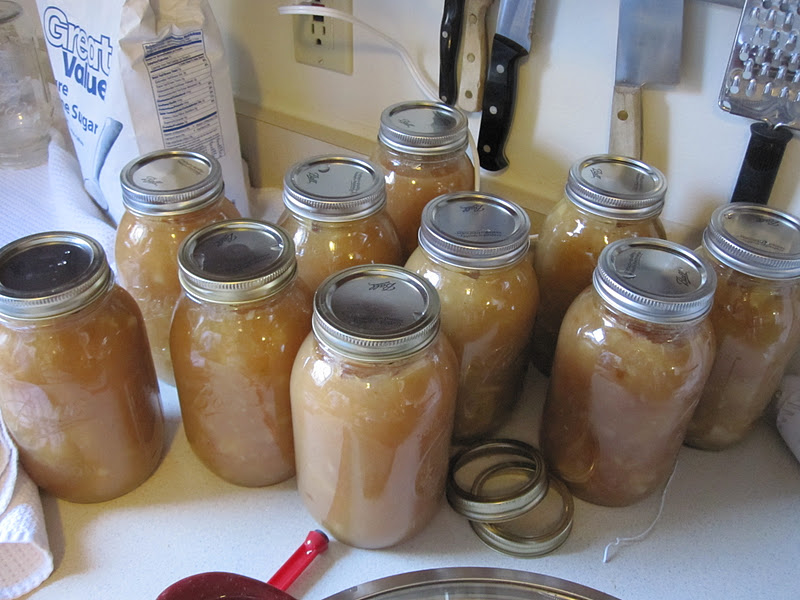 Safely Gathered In How To Make and Can Homemade Applesauce