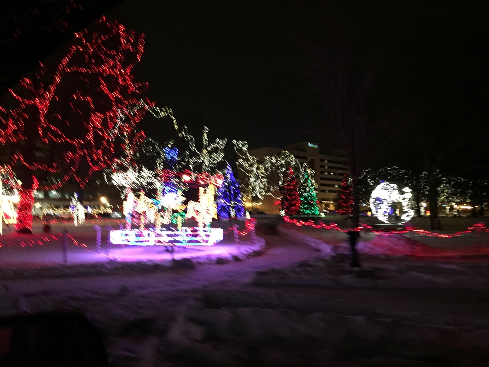 Moments of Introspection Riverside Rotary Lights 2015