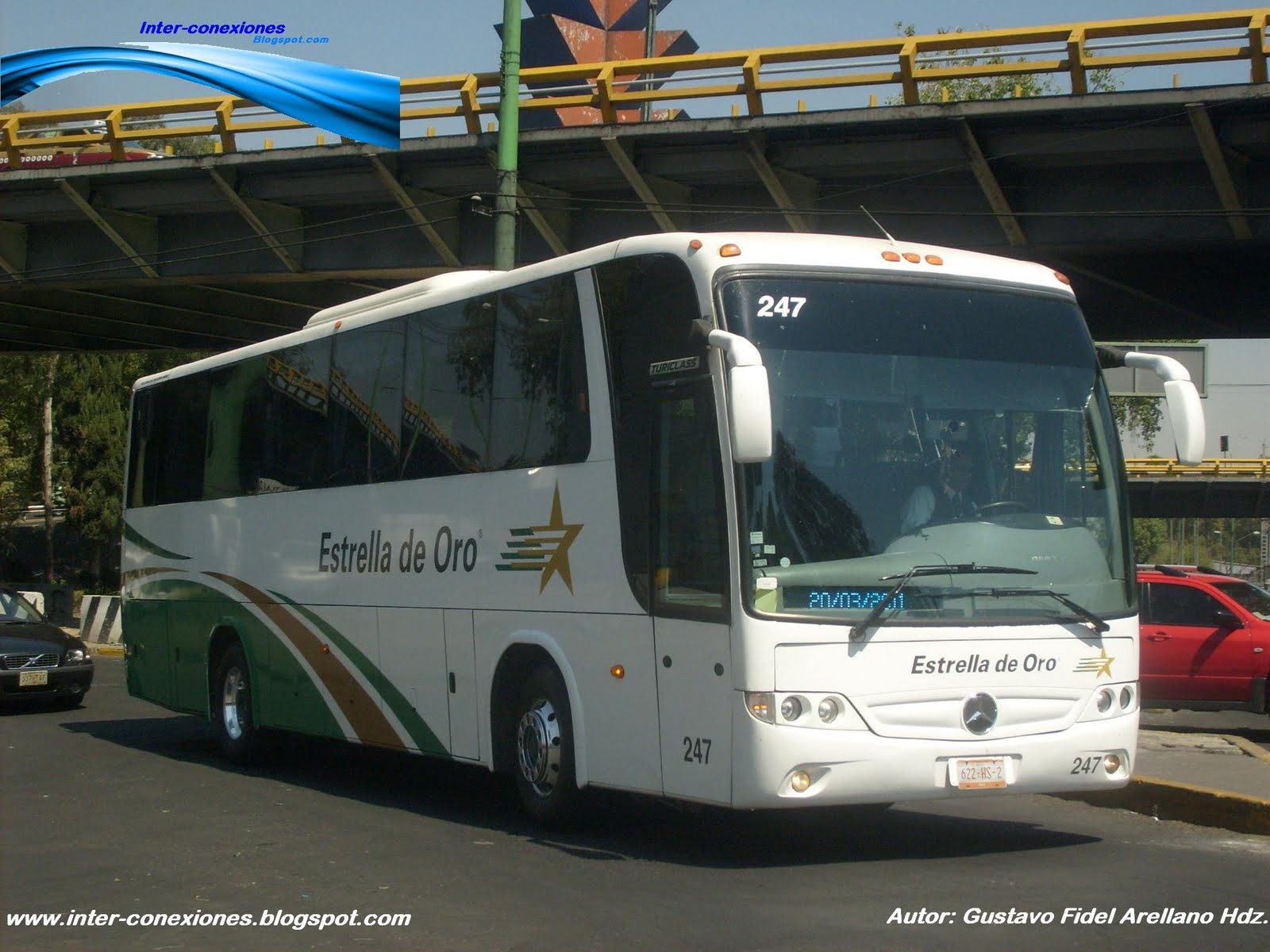 INTER ♦ CONEXIONES ESTRELLA DE ORO