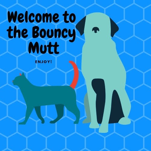 The.Bouncy.Mutt