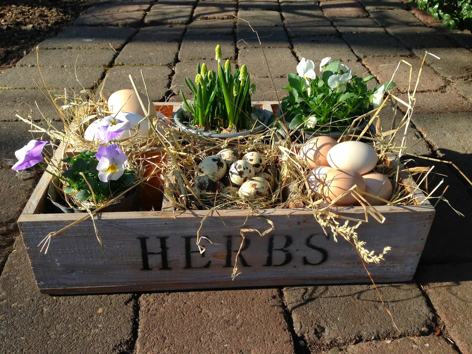 Fru pedersens have: diy smukt påskedekoration med æg.